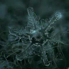 تصاویری شگفت‌انگیز از کریستال‌های #برف «Alexey Kljatov»، 