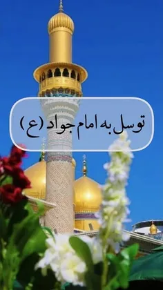 💚🙏🏻💚میلاد با سعادت حضرت جوادالائمه 