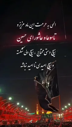 یاامام حسین میدونی حرفم وقلبم چیه و خواستم 🤲🤲🤲🤲🤲🤲