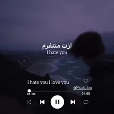 i hate that i love you:)