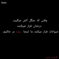"نادرشاه افشار "