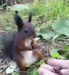 شکست عشقی خورده😂😂