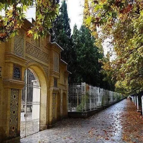 خیابان ارم شیراز در پاییز