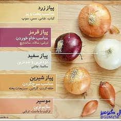 از این به بعد میدونیم چه پیازی برای چه غذاییه