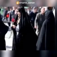 mohammadabbasikafsh 74662736