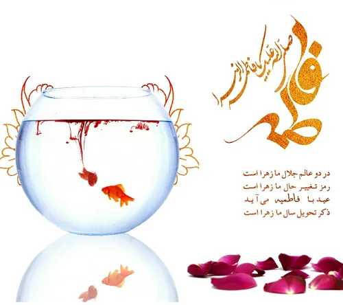 یامهدی ادرکنی