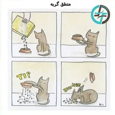 #catlogic#cat#petfarsifacts