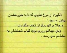 میرسه بوش....