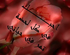 بگذار بگویند خسیسم