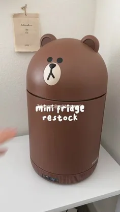 mini fridge 🧊