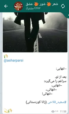 #سعید_فلاحی