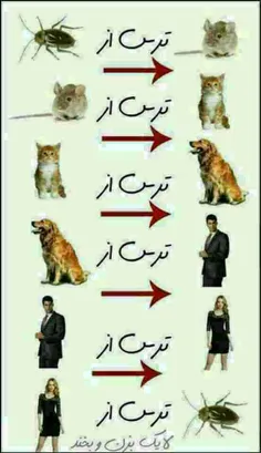 اینم زنجیره ترس