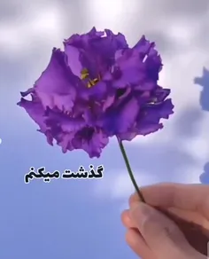 آدمی به مرور آرام می‌گیرد، 