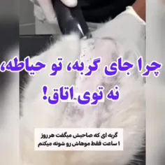 تازه این همیشه با شامپو مخصوص میرفته حموم!!