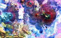 رشته کوه آند . . . 