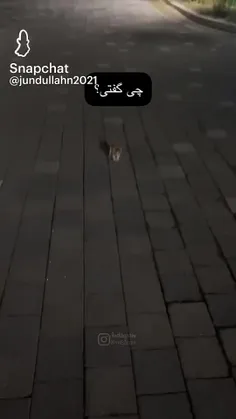 من موقع دوا با یکی 🤣🐈‍⬛🥺