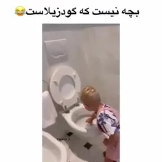 حالم بهم زد