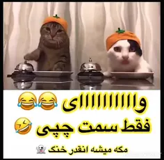 چرا انقدر بامزه ان؟😍