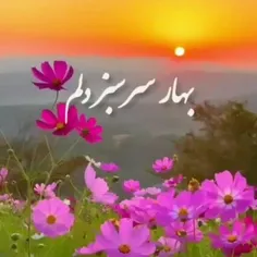 عید همه رو پیشاپیش تبریک میگم 🌷🌷⚘⚘⚘