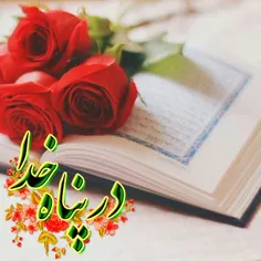 🌺 یآعِمادَ مَن لا عِمادَ لَهُ