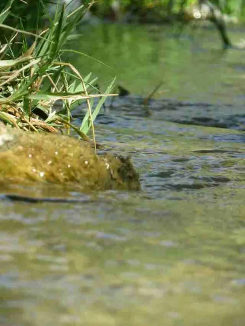 خودم گرفتم خوبه نظر بدهید