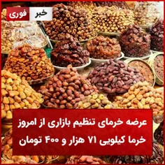 عرضه خرمای تنظیم بازاری از امروز؛خرما کیلویی ۷۱ هزار و  ۴۰۰ تومان 