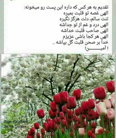 گوناگون leily.s 8526100