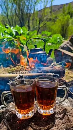 هر صبح،