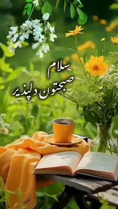 همیشه سبز با طراوت شاداب *Arvij *