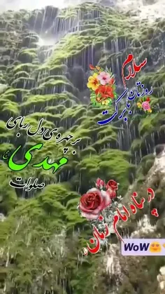 mahdi00000 39642173