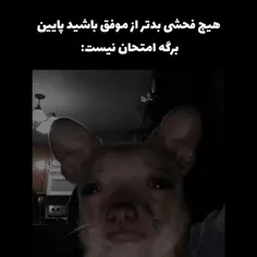 این جمله ..