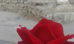 انصافاا این پستایی که برا زندگی ایندتون می زارم  چهار تا 