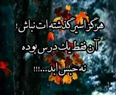 sarzaminman101 50610136