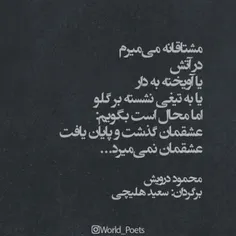 مشتاقانه می‌میرم