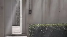 🎬 آرامش امت ؛ تولدت مبارک 🌺 