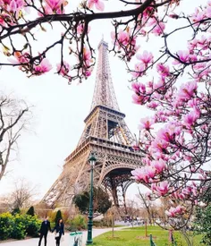 Spring in Paris