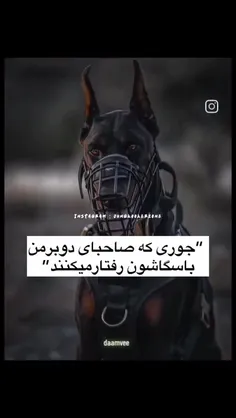 کوک دوبرمن حرمت داره نه لذت😑😂