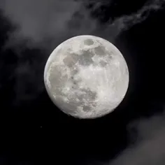 بچه ها از خودم بیوگرافی بدم؟