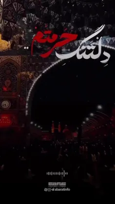 شب جمعه است هوای حرم افتاده سرم 
بد جوری دلتنگتم آقا جان🥺