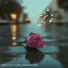 شادی روح مطهرشهداوامام شهدا صلوات 