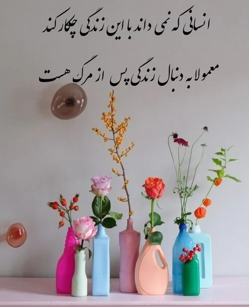 زندگی پس از مرگ....