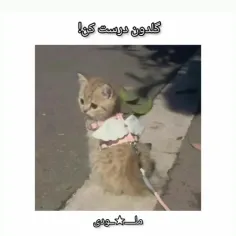 فالو و لایک یادت نره 🔥