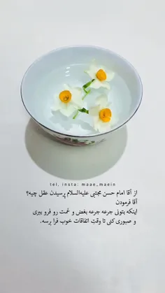 امام حسن علیه السلام فرمودند... 