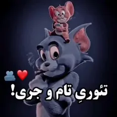 فالو کنید