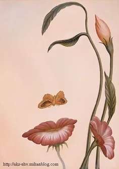 طبیعته دیگه نه