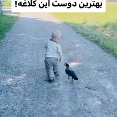 ببینید و لذت ببرید 