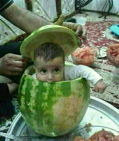 بهترین هندونه 😂 🍉