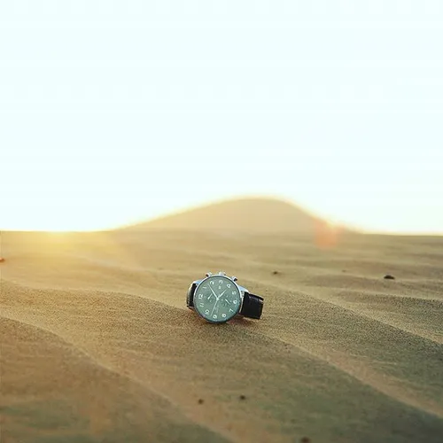 A treasure in the desert