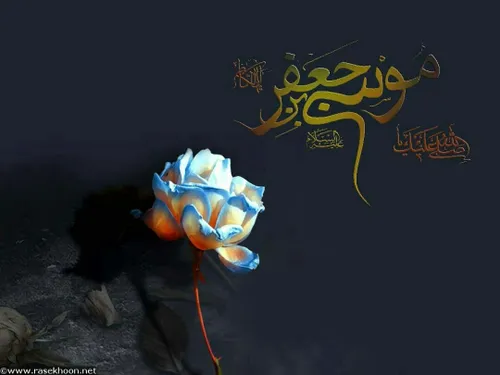 الرشید امام کاظم علیه السلام را زندانی کرد کنیزی زیبا و ف