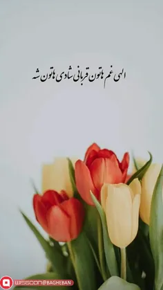 #غنچه_یاس_کبود